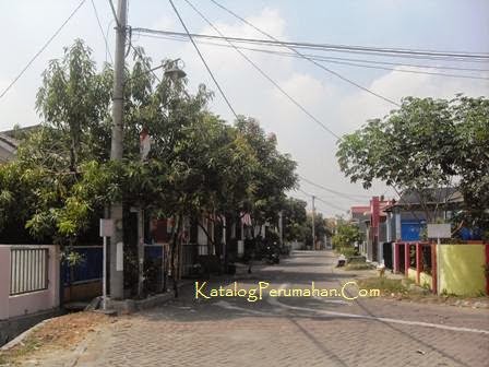 Gang cluster lain Perum TAS Gang cluster lain Perum TAS