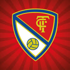 ESCUT DEL TERRASSA FC!!!
