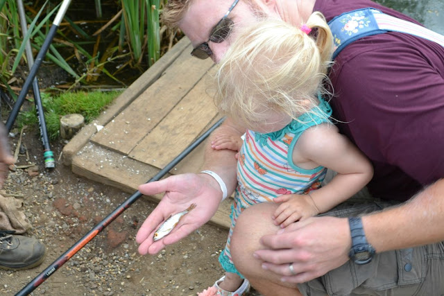 Mr Tin Box's hand with a fish in it