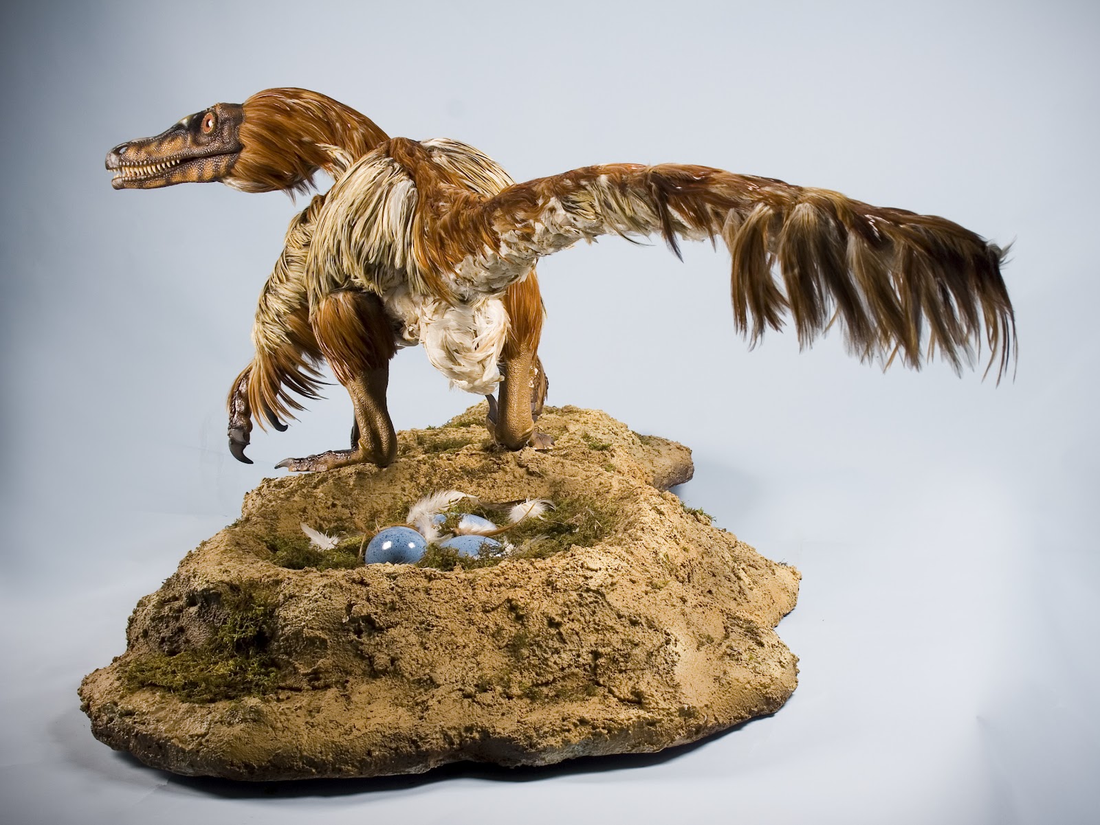ART Evolved Life�s Time Capsule Velociraptor