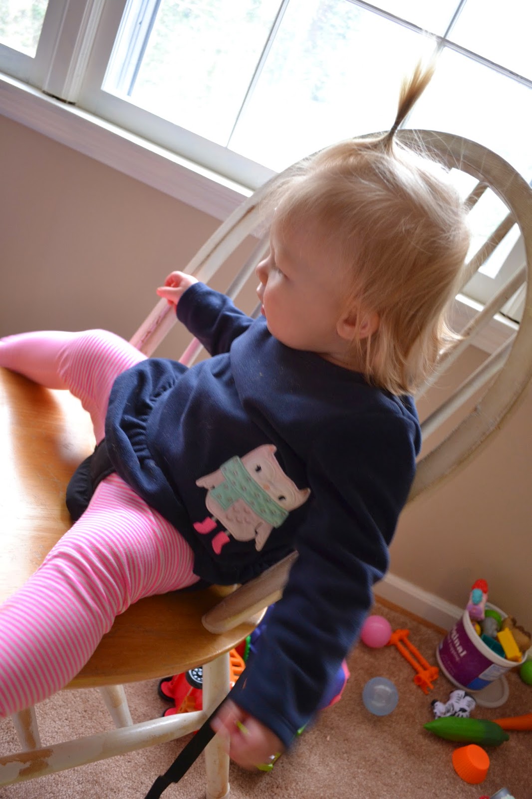 Yochi Yochi 3in1 Child Safety Harness Review