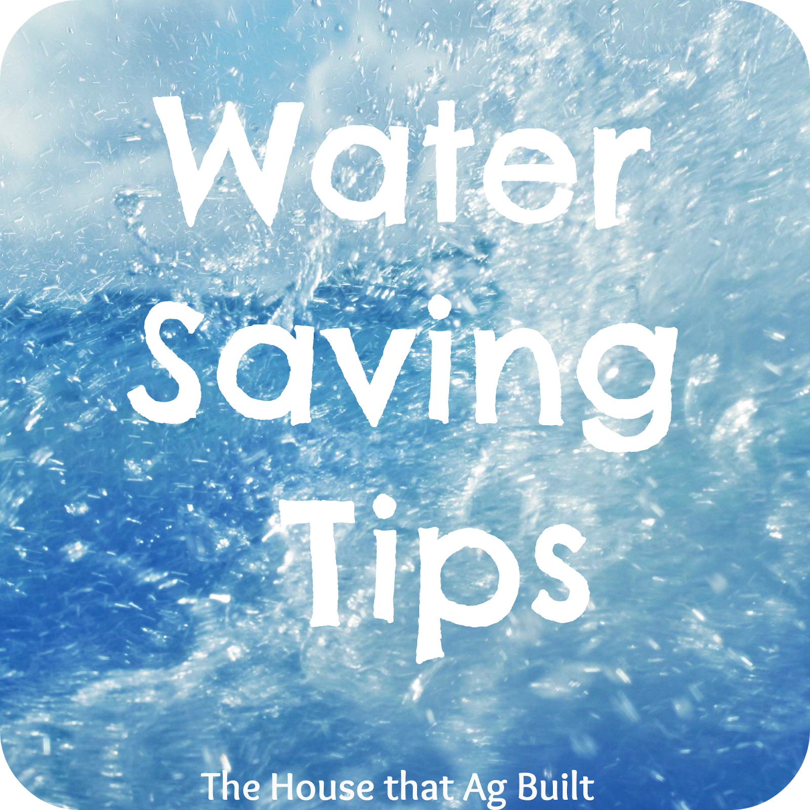 The House That Ag Built Water Conservation 1 toilets