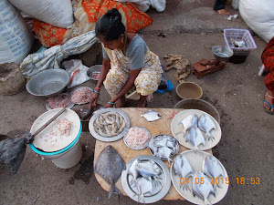 Fresh fish sold in Nani Daman fish market.