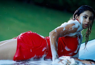 namitha maya naked wet pics washing car hot very sexy