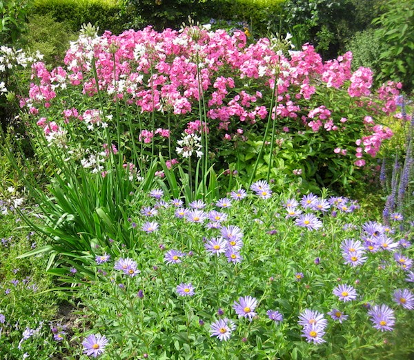 Red House Garden How To Make A Vertical Pallet Garden For Shade