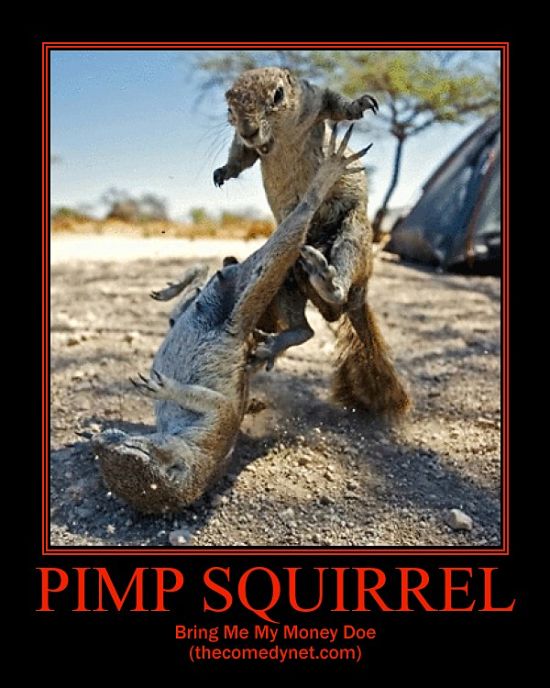 Funny Wild Animal Quotes Inspirational. QuotesGram