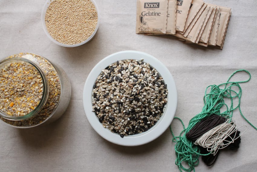 corner blog donut pan idea no. 59 bird seed rings