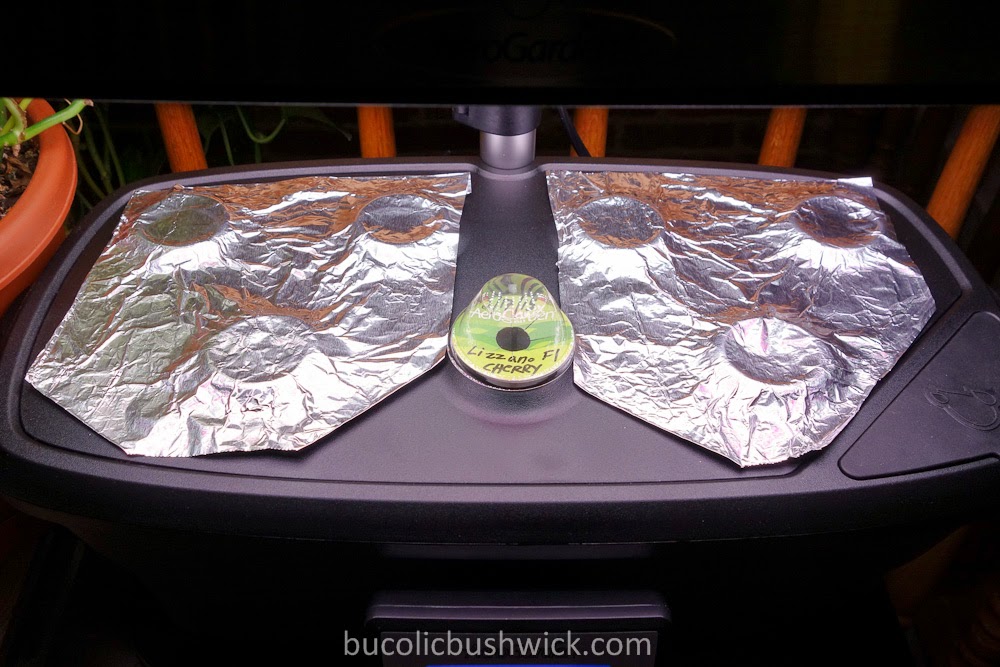 Bucolic Bushwick Using The AeroGarden Ultra LED For The