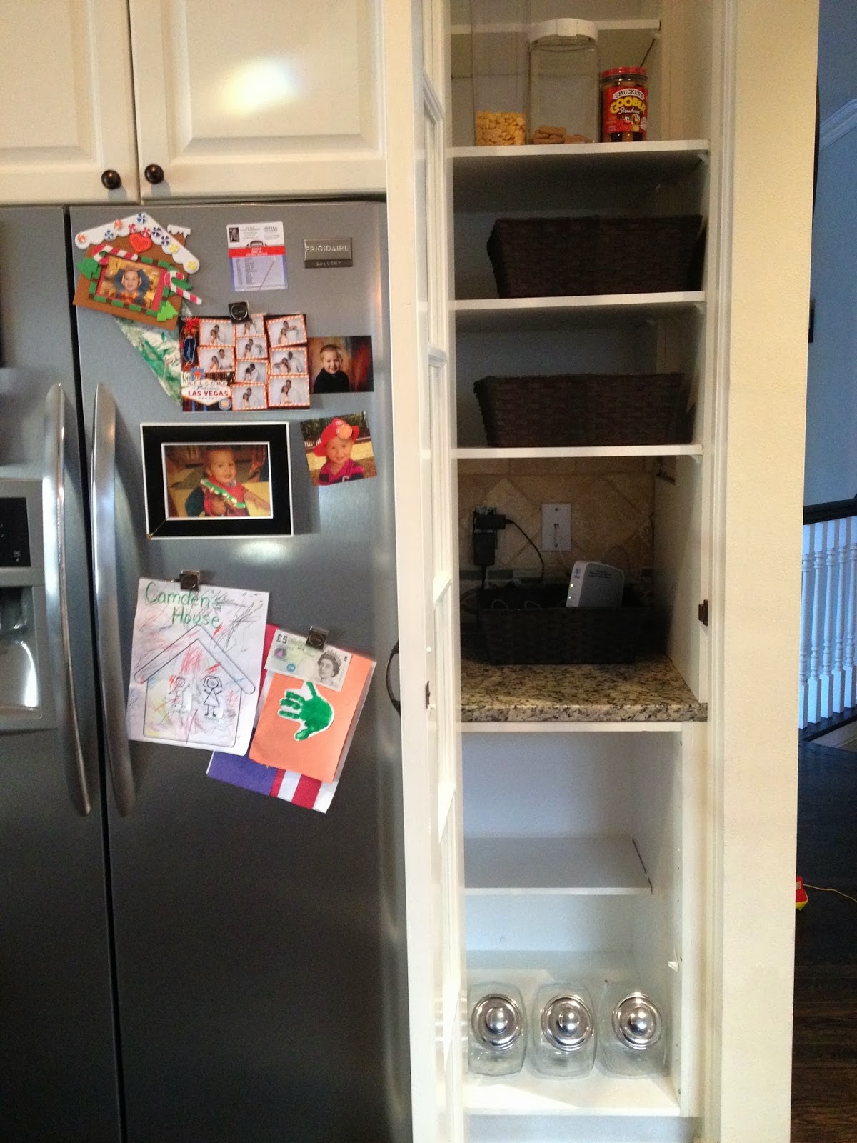 Beauty And The Budget How To Get Rid Of Pantry Moths Solutions