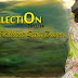 Most Wanted Saree Collection 2013-2014 | Best Indian Saree's | Indian Diwali Saree Designs