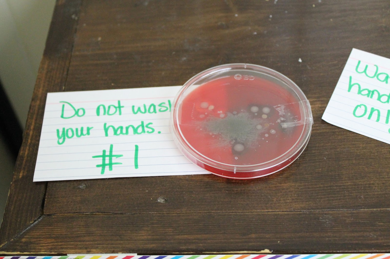 Boyd Christian School : 3rd Grade Science Experiment