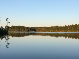 sunrise over calm lake with trees reflecting off water