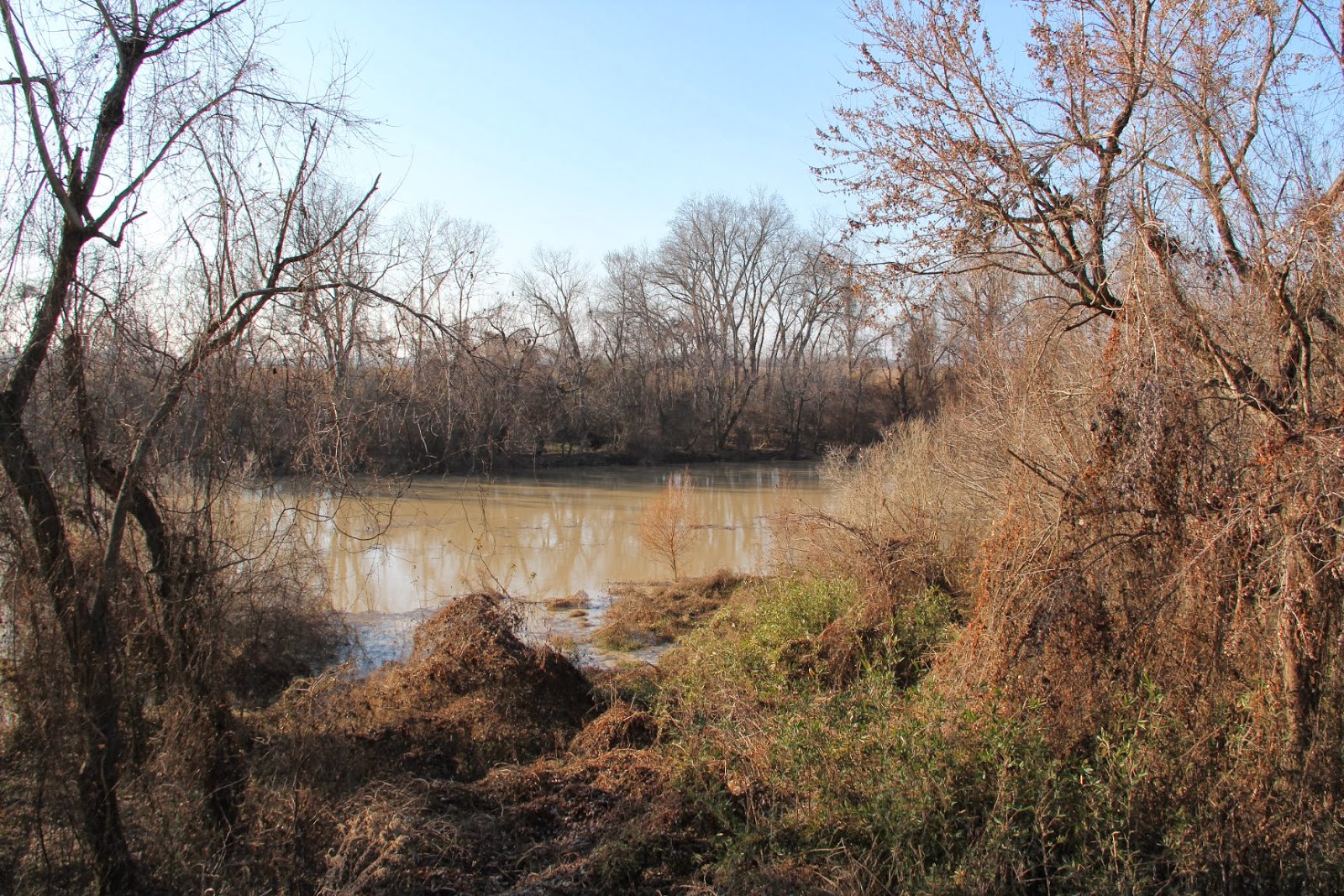 Stephen Bodio's Querencia Parkin
