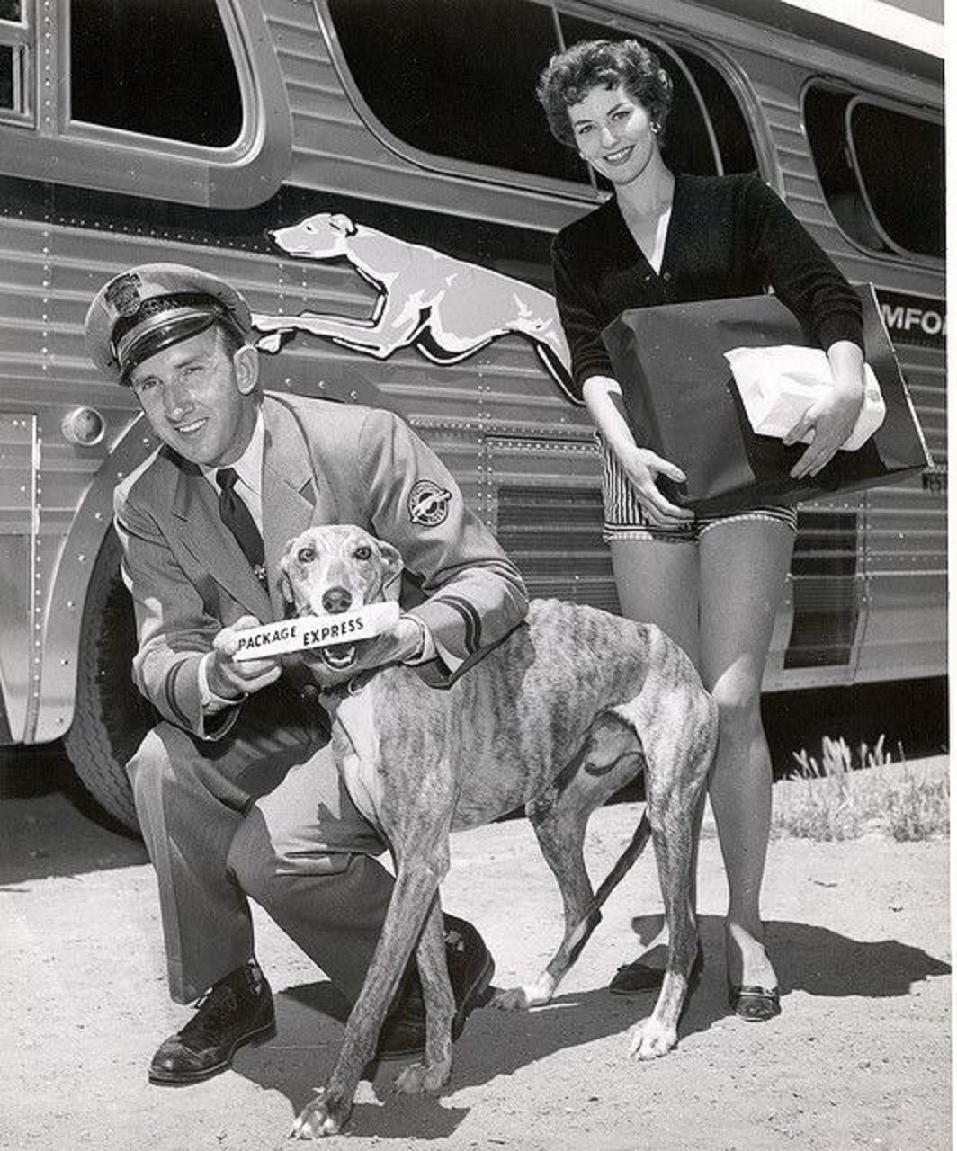 Steverino, aka Lady Greyhound. Early company mascot