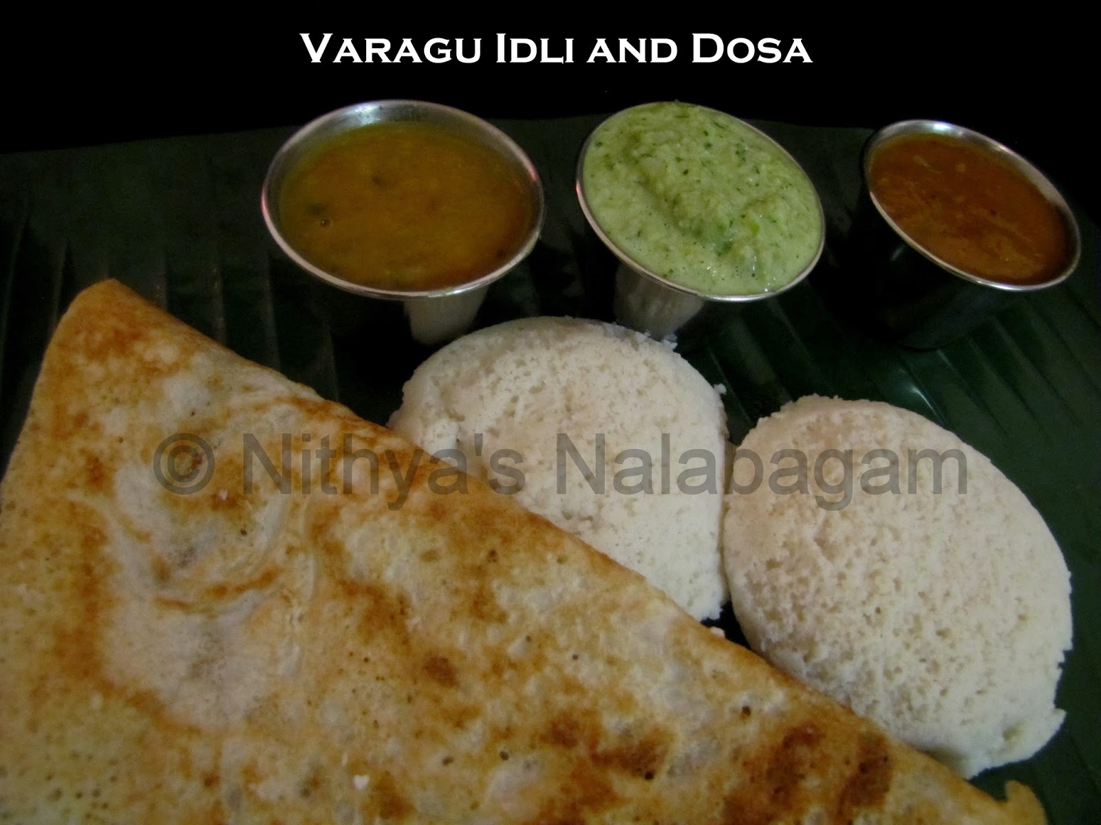 Kodo Millet Idli and Dosa Varagu Idli and Dosa Nithya's Nalabagam