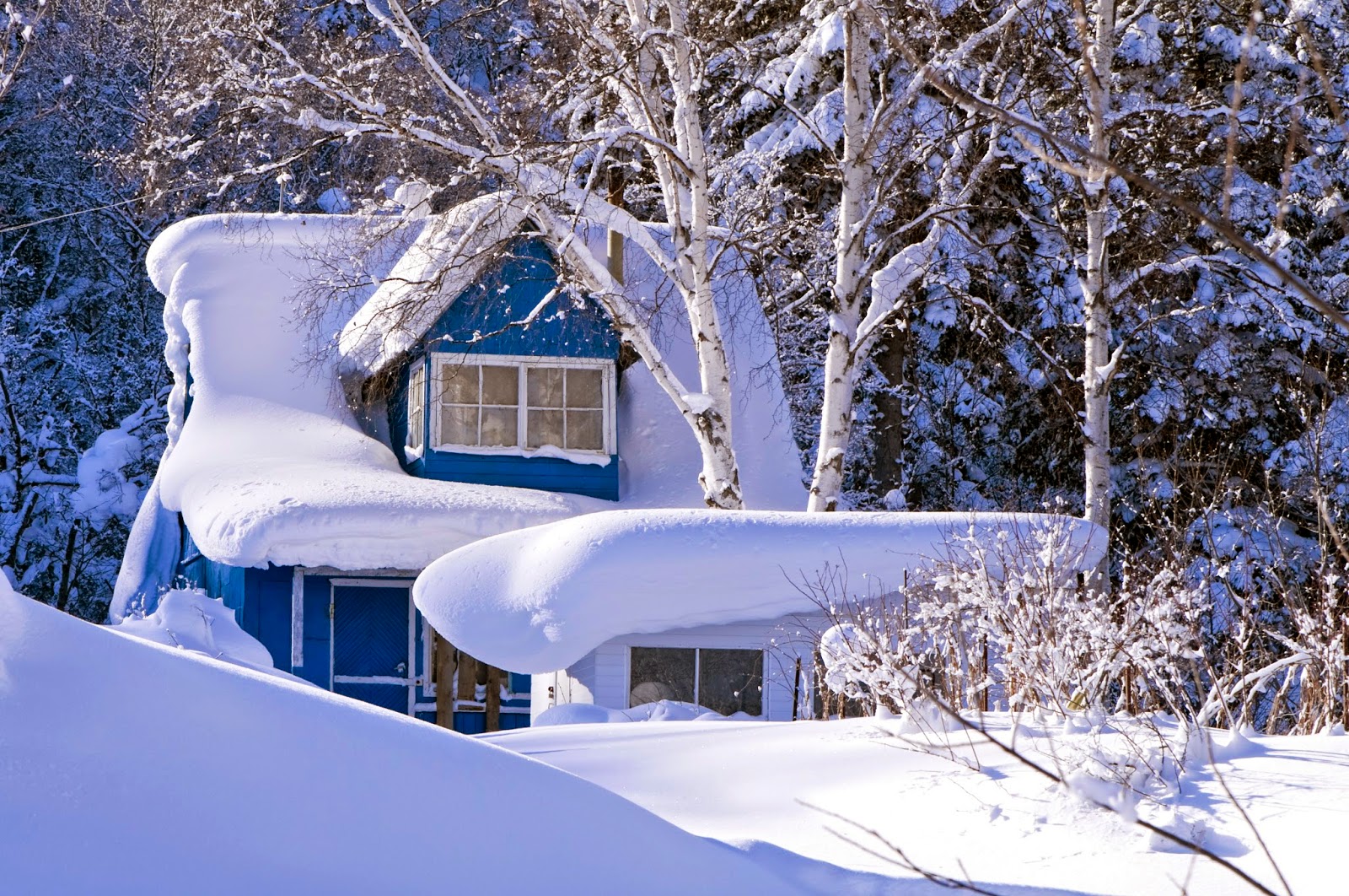 Superior Windowland LLC Official Blog: Can My Roof Withstand Heavy Snow?