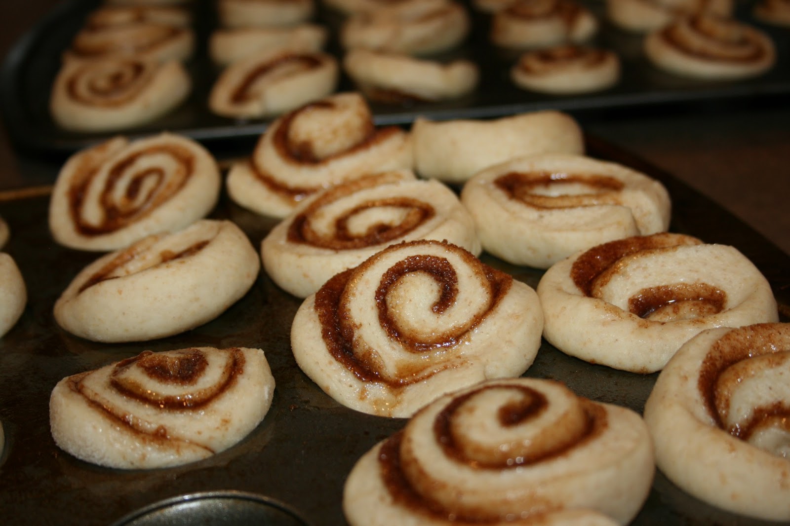 JOY Unspeakable minicinnis!