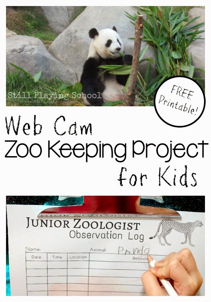Web Cam Zoo Keeping Project for Kids | Still Playing School