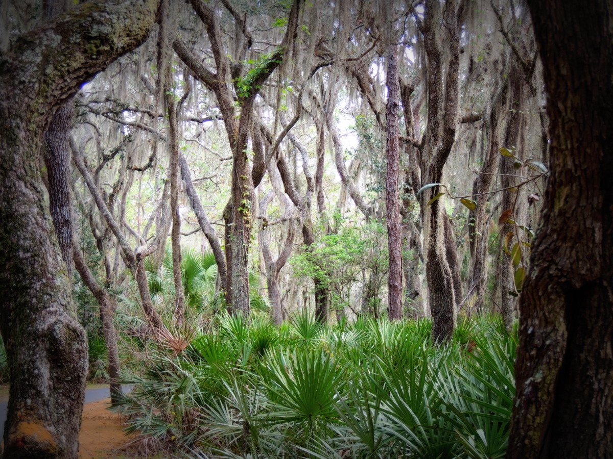 photography by jules Lettuce Lake Regional Park