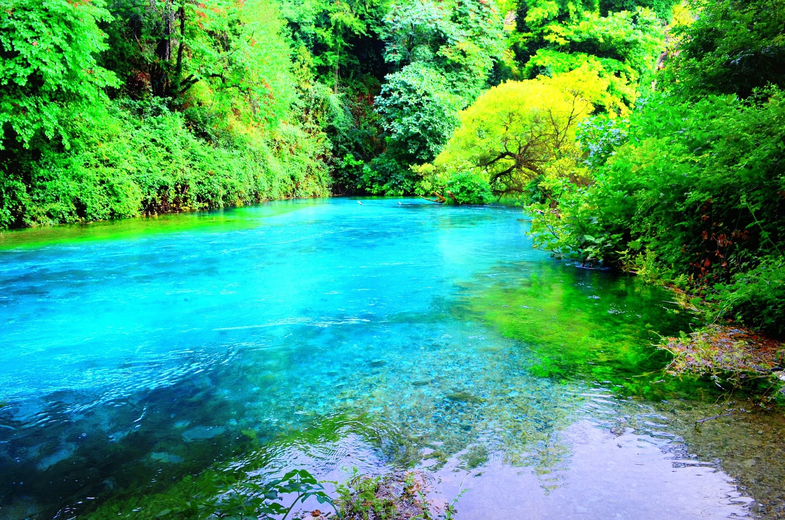 site de rencontre albanaise