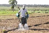 Estercos humanos vão produzir fertilizantes