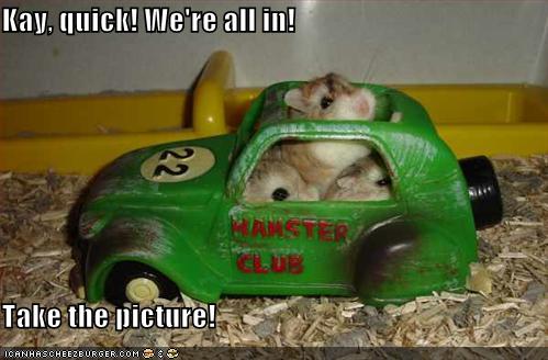 funny-pictures-hamster-toy-vw.jpg