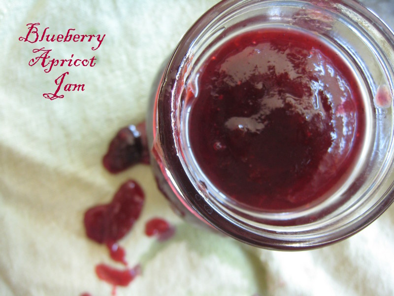 The Way to My Family's Heart Blueberry Apricot Jam My Very First Post