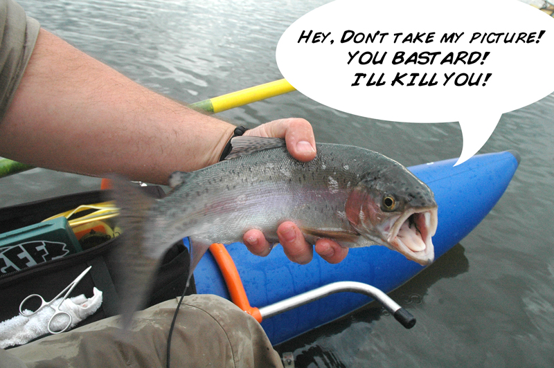 angry_trout.jpg
