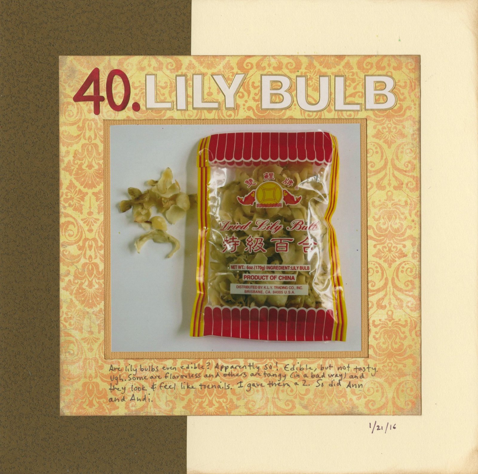Cindy deRosier My Creative Life 43 NewtoMe … 40 Dried Lily Bulbs