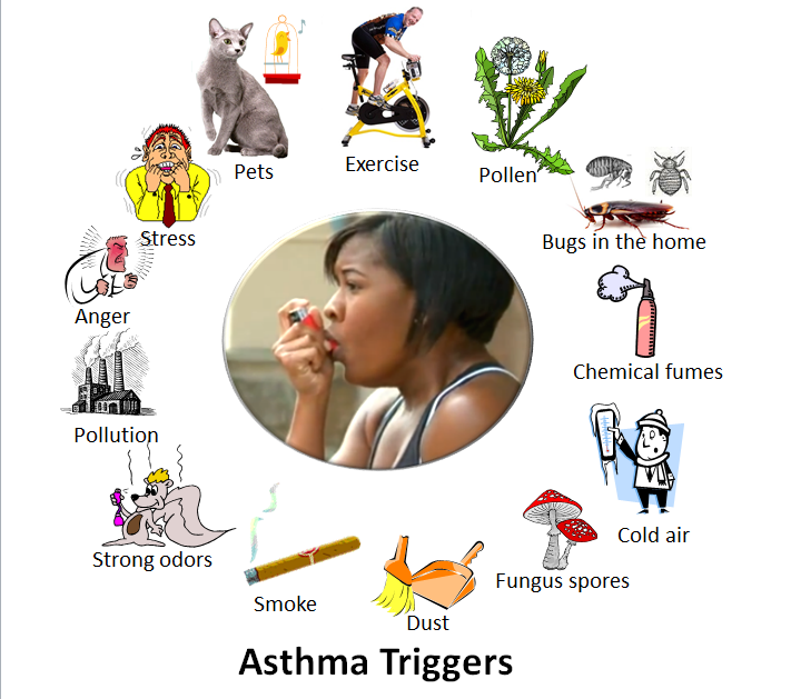 What is Asthma, Symptoms,Causes & Treatment Education