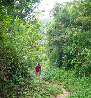 Correr en Montaña