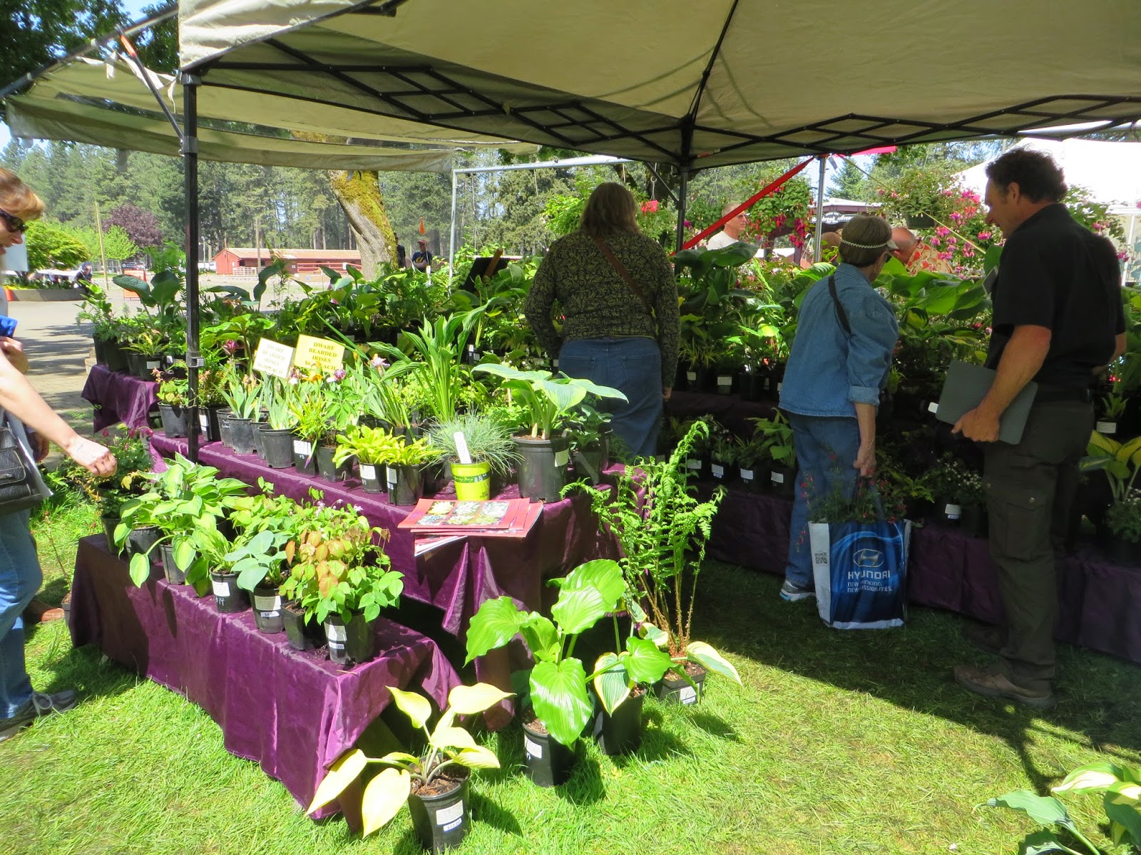 Canby Spring Garden Fair