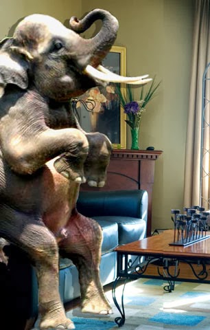 menopause symptoms and the elephant in the room menopause symptoms and the elephant in the room