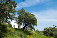 Casas Rurales Rincon de Las Tobas