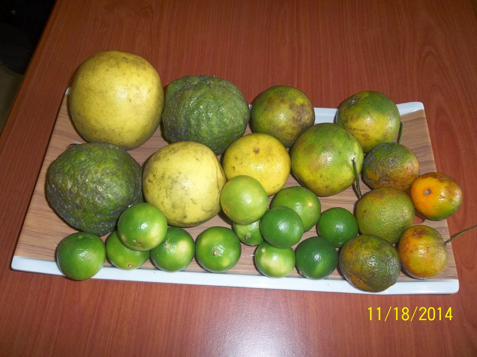 Five Citrus (Alkaline) Fruits