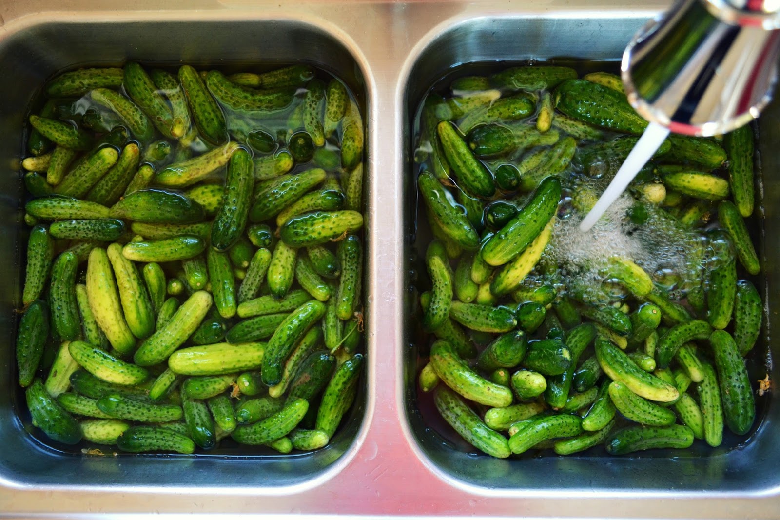 Crunchy Dill Pickles A Canning Photo Story