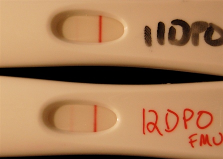 Lib And Learn Pregnancy Early Test