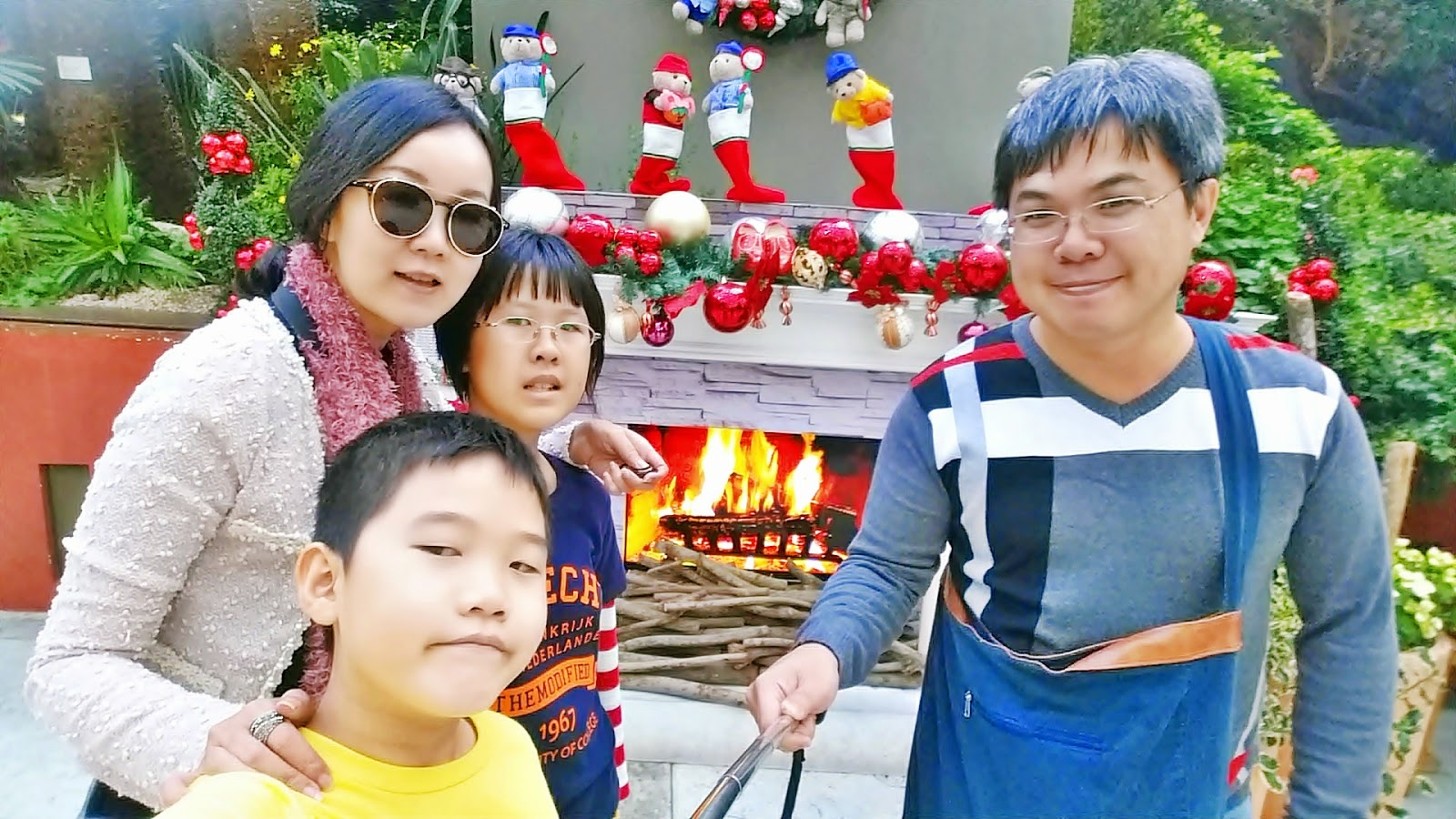 Beautiful Christmas decorations at Flower Dome meheartseoul.blogspot.sg (Vera Lee)