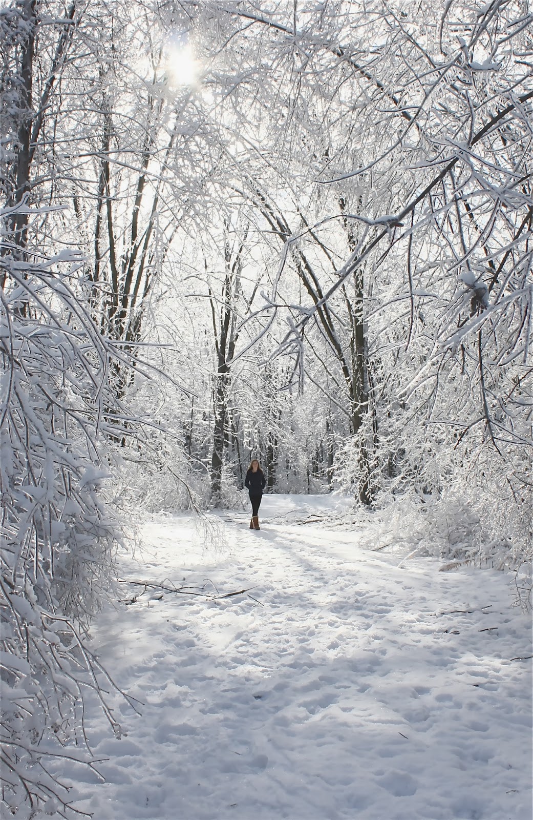 The Yellow Cape Cod The Master of Design Delivers On Christmas