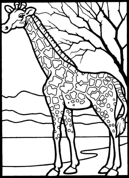 Girafa Desenhos Para Colorir Girafa reviewed by lindos desenhos para pintar on 02:00 rating: girafa desenhos para colorir