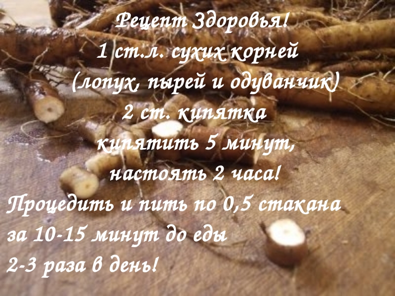 От какой части томата брать семена От какой части томата брать семена