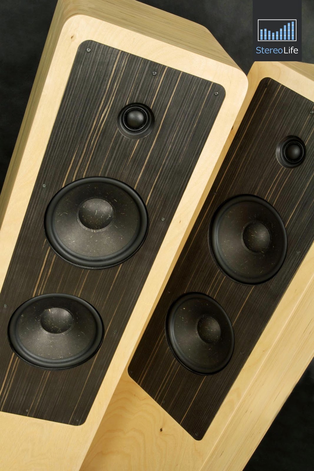 Mono and Stereo HighEnd Audio Magazine Audel CG Tower speakers review