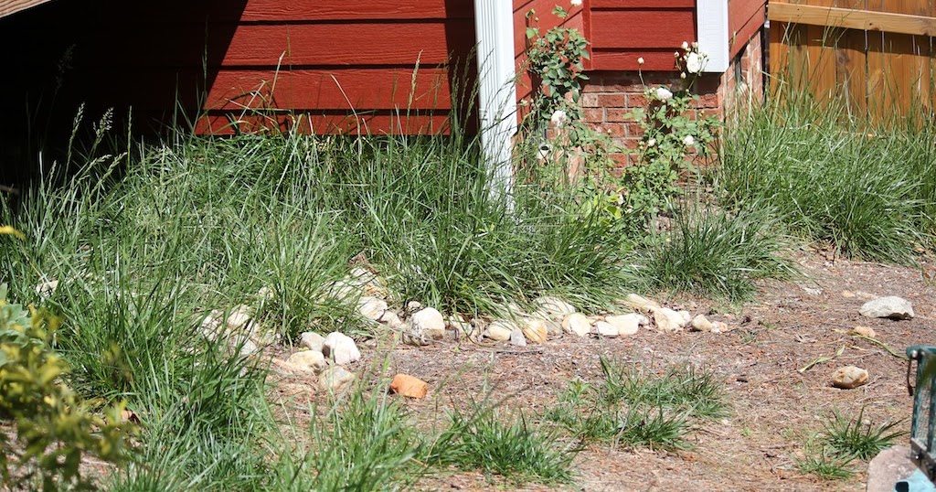Red House Garden A Horseshoe Shaped Vegetable Garden