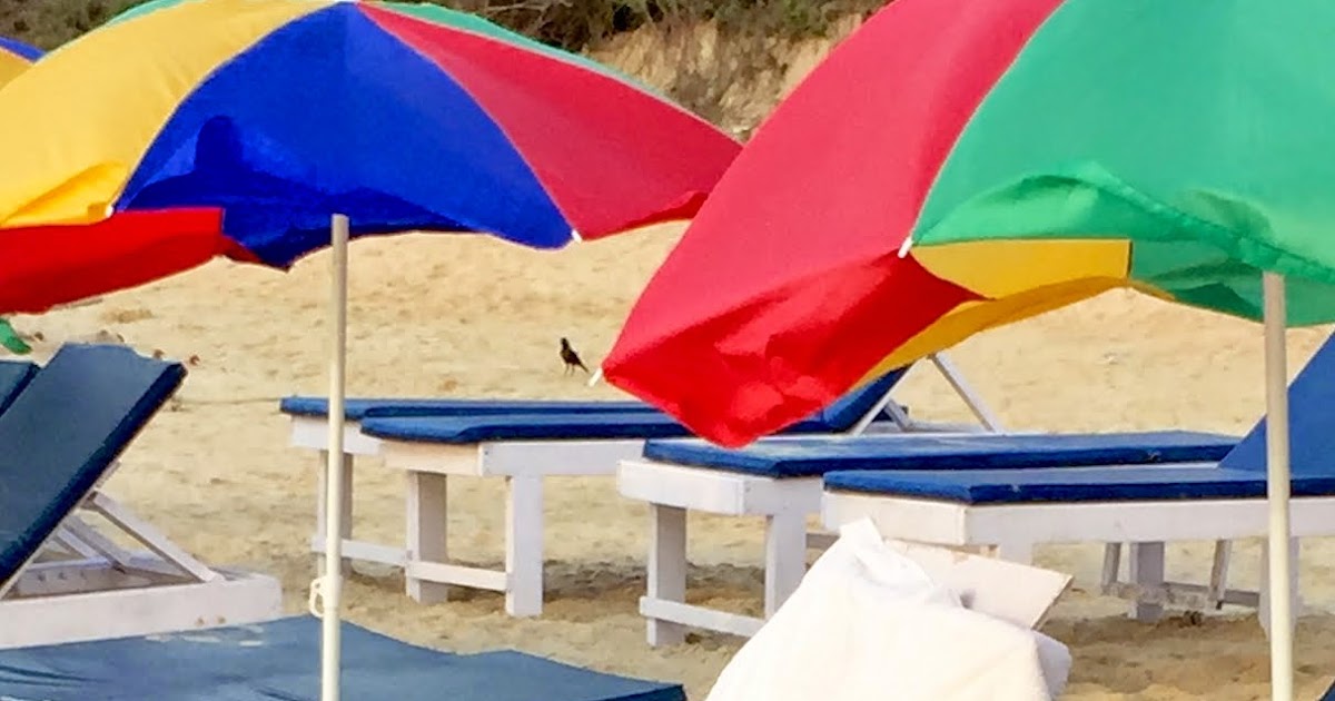 Would You Like Some Oil On Your Back?? 