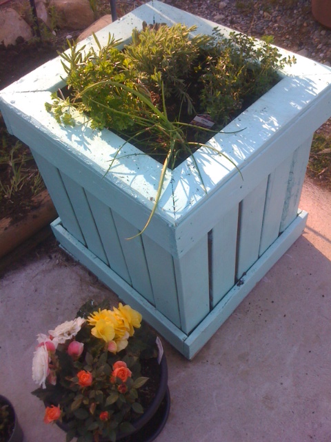 Fancy That - Life, Love, Laughter: Garden planter box