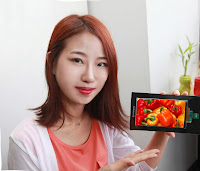LG's 5.5-inch Quad HD AH-IPS LCD display panel