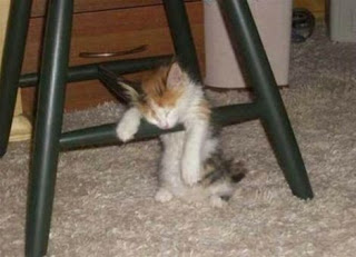 !cid image008 jpg@01CAB09A