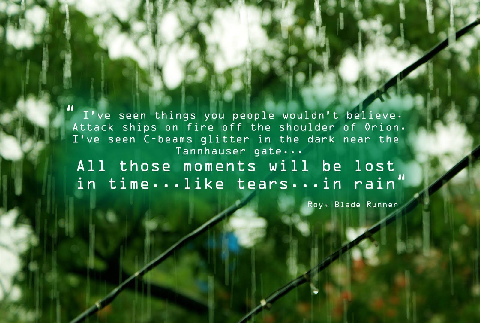 Beautiful Rain Quotes