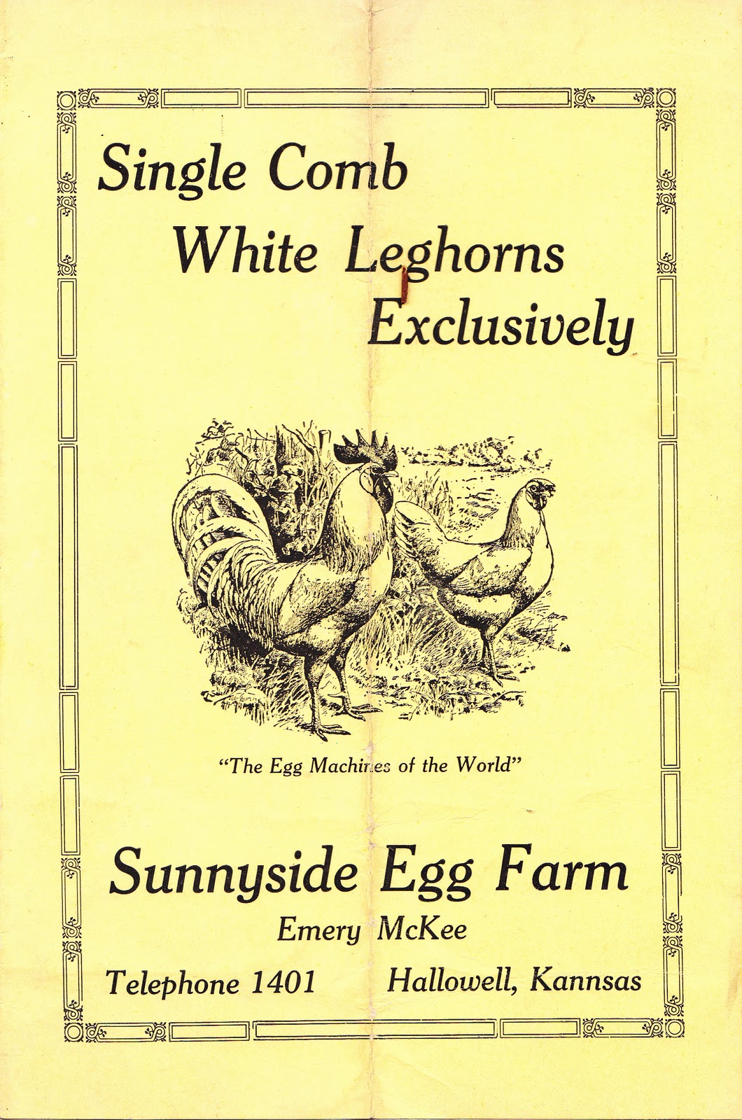 chickenhistory SUNNYSIDE EGG FARM EMERY McKEE SINGLE COMB WHITE