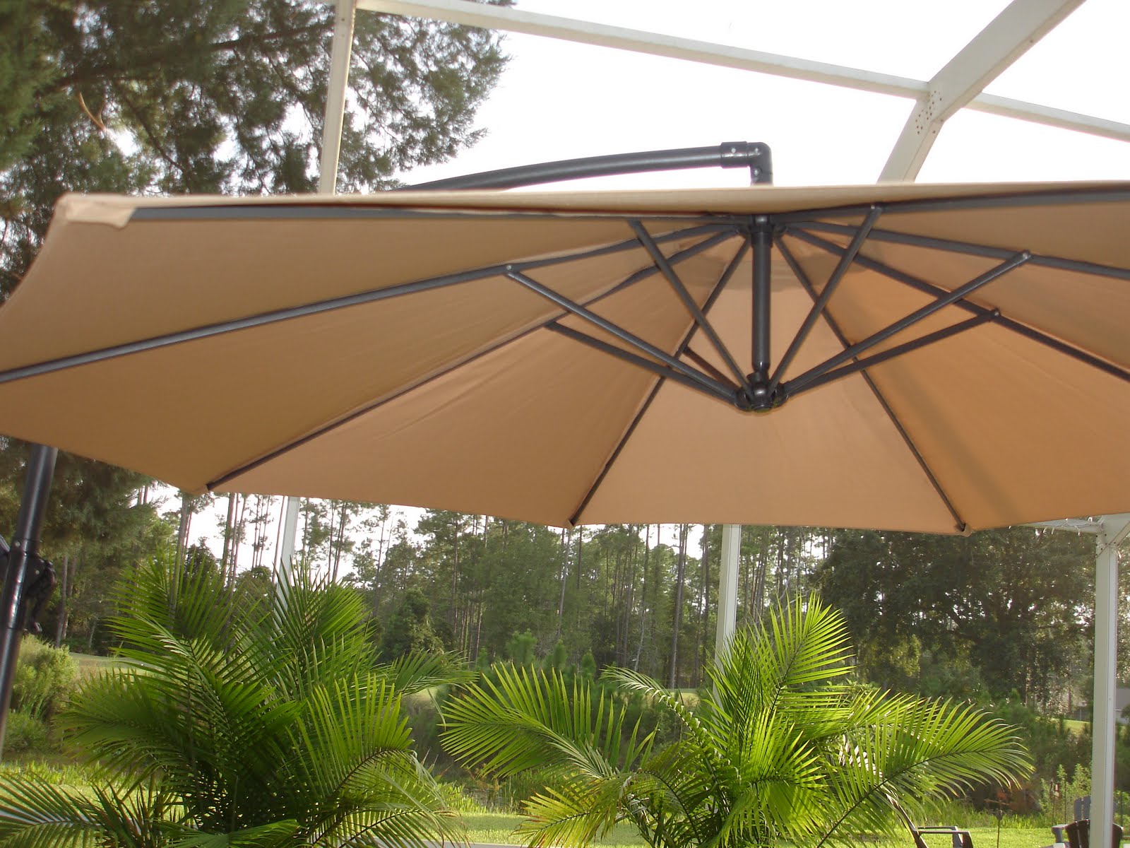 I AdaptDaily Tips and Time Saving Ideas...and other Things! Umbrella